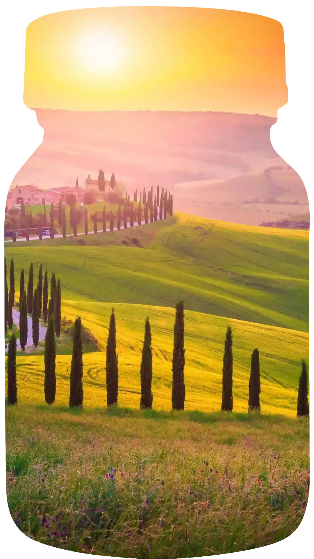 Geurflestuscanfig